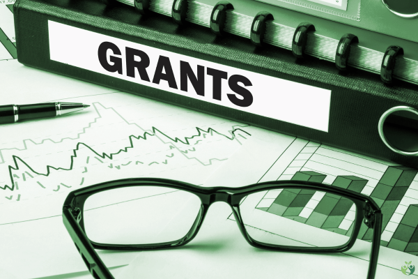 grant writing - services